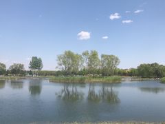 -大兴滨河森林公园