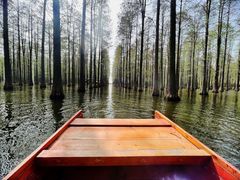 -渌洋湖湿地公园