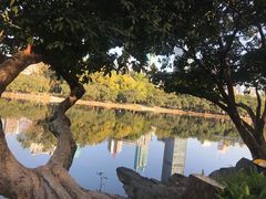 -荔枝公园(福田区)