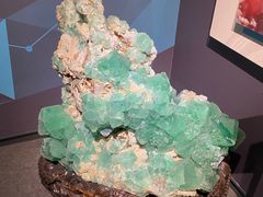 -湖南省地质博物馆