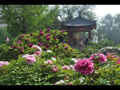 -迎泽公园