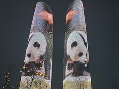 -成都大熊猫繁育研究基地
