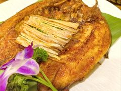 -紫滇源云南生态菜(丹凤街店)