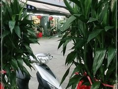 -武汉花鸟市场