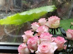 -肴约·花园式餐厅(湖里店)