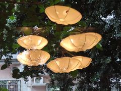 -老灶房-四川土菜(开元店)