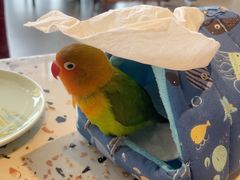 -点都德(广州白云山景区南门店)