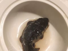 -泉州富力万达文华酒店-品珍中餐厅