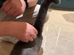 -扬州东关街文昌阁桔子水晶酒店