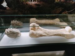 -湖南省地质博物馆