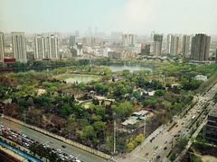 -君悦酒店·乐厨·高空自助餐(青年大街店)