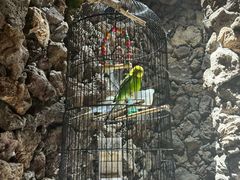 -大碗厨 25年老字号 现炒湘菜(四季天地店)