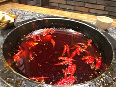 -蜀大侠火锅(建设路第五大道店)