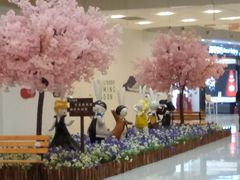 -凯德广场(西城店)