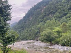 -黑河国家森林公园