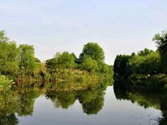 -新江湾城公园