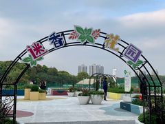 -黄兴公园