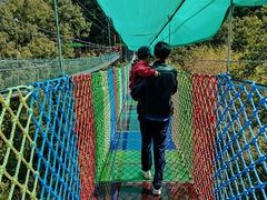-栾川竹海野生动物园