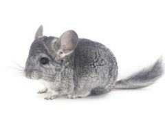 -龙猫仔乐园(惠福东路店)