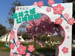 -上海海湾国家森林公园