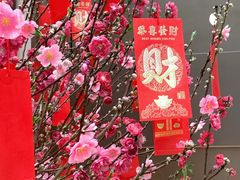 -上海外滩茂悦大酒店