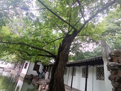 -西园戒幢律寺