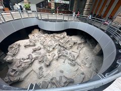 -自贡恐龙博物馆