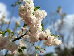 -观澜湖生态运动公社