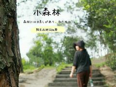 -视禾摄影培训(越秀区分部)