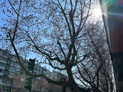 -锅蒸馍(建国中路店)