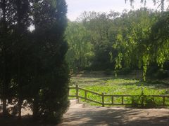 -棒棰岛宾馆景区