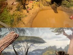 -陕西自然博物馆