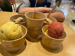 -LUNEURS月乐诗·法式冰淇淋(环贸店)