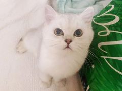 -北京国玉大酒店(鸟巢科技馆店)