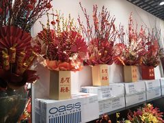 -双季花艺园艺市场(浦东店)