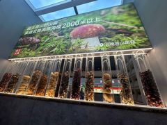 -菌自在·云南野生菌火锅(长安万达店)