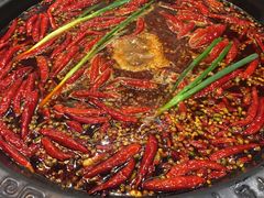 -蜀大侠火锅(建设路第五大道店)