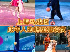 -上海马戏城