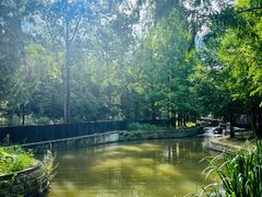 -白水寺森林公园