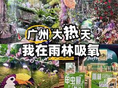 -正佳雨林生态植物园