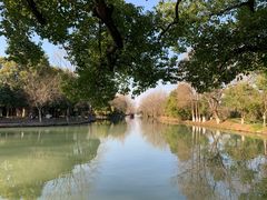 -西溪国家湿地公园