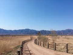 -野鸭湖国家湿地公园