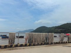 -小皓村