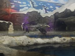 -梦幻海洋王国(吾悦广场张家港店)