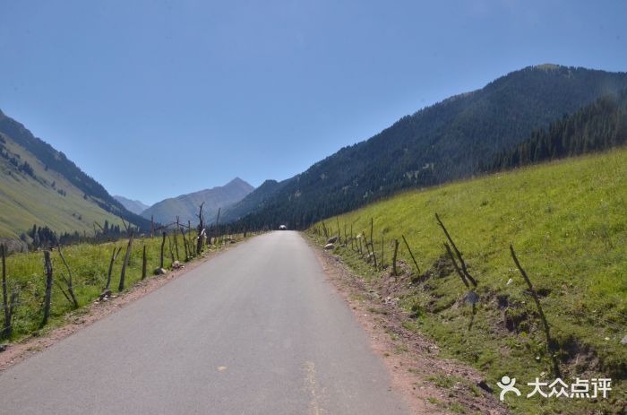 琼库什台紫花坡图片 - 第5张