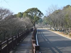 -游子山休闲旅游区