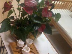 -张钰强中医正骨推拿连锁(华发商都店)