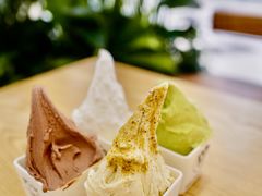 -野人先生Gelato(上海长宁龙之梦店)