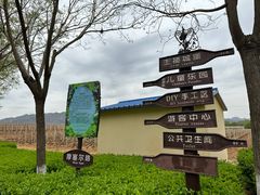 -北京张裕爱斐堡酒庄