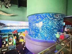 -瑞普利水族馆